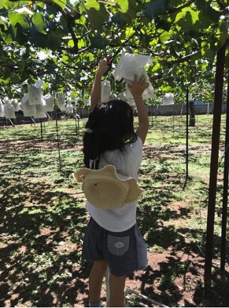 相田翔子の子供は何人でどこの学校に通っている 障害持ちなの 真相を調べてみた 芸能人のあの噂